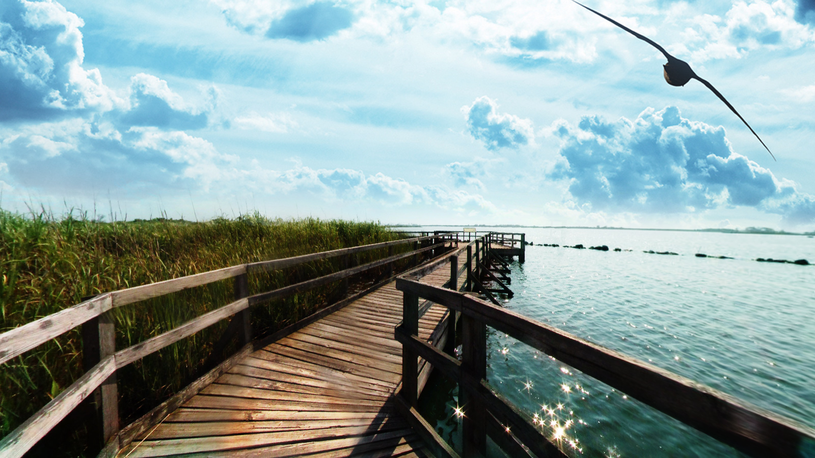 Back Bay National Wildlife Refuge